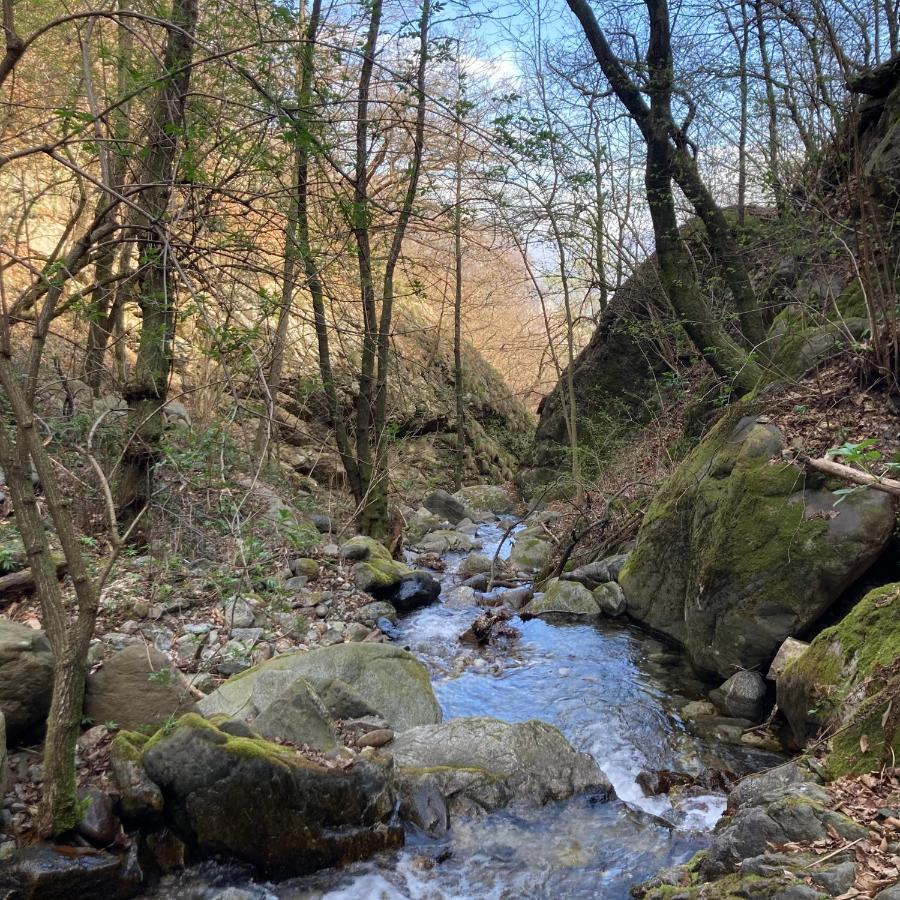 Casale Corte CerroIl Riccio Di Ricciano住宿加早餐旅馆 外观 照片