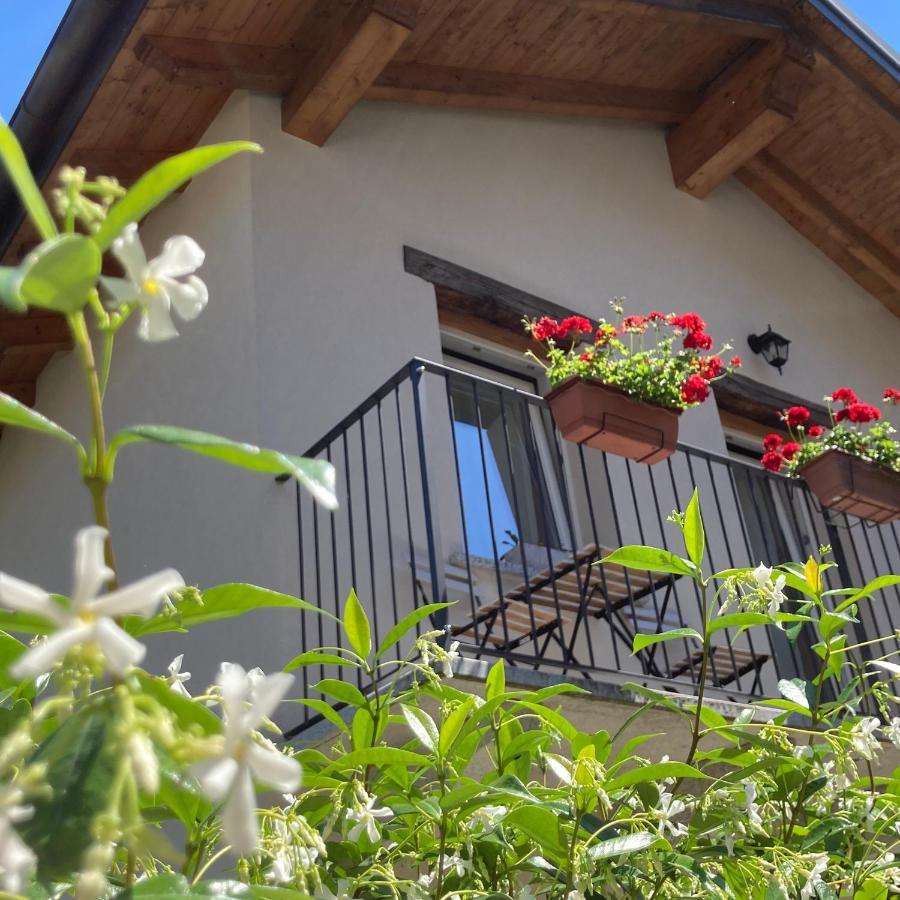 Casale Corte CerroIl Riccio Di Ricciano住宿加早餐旅馆 外观 照片