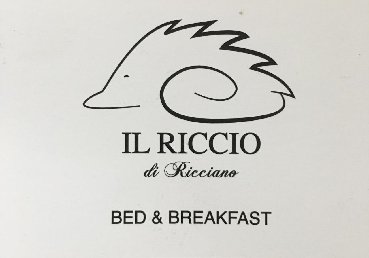 Casale Corte CerroIl Riccio Di Ricciano住宿加早餐旅馆 外观 照片